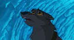 Image Balto