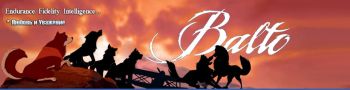Balto.ru