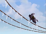 Image Balto 3 : Wings of Change