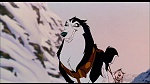 Image Balto