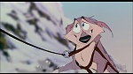 Image Balto