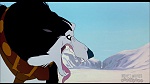Image Balto