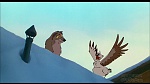 Image Balto