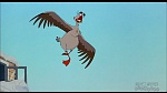 Image Balto