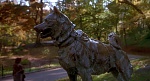 Image Balto