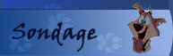 Sondage