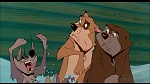 Image Balto