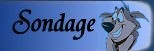 Sondage