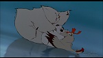 Image Balto