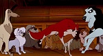 Image Balto