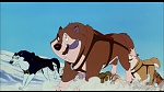 Image Balto