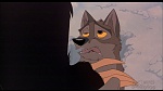 Image Balto