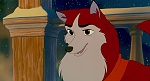 Image Balto
