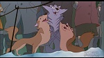 Image Balto