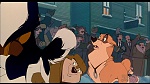 Image Balto