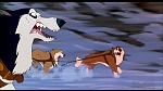 Image Balto