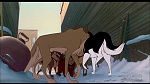 Image Balto