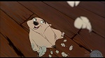 Image Balto