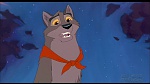Image Balto
