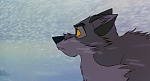 Image Balto