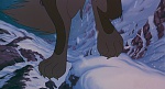 Image Balto