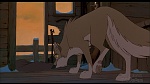 Image Balto