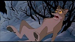 Image Balto