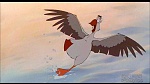 Image Balto