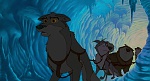 Image Balto