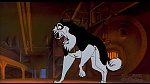 Image Balto