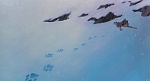 Image Balto