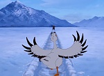 Image Balto 3 : Wings of Change