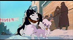 Image Balto