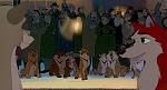 Image Balto