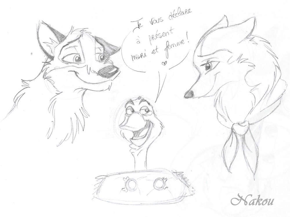 D�fi AS 1 - Balto Source