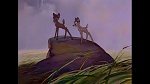 Bambi