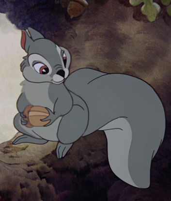 Detail Squirrel