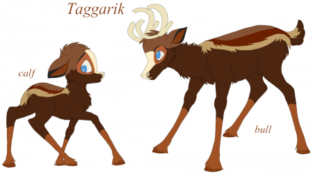 Detail Taggarik