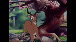 Bambi picture