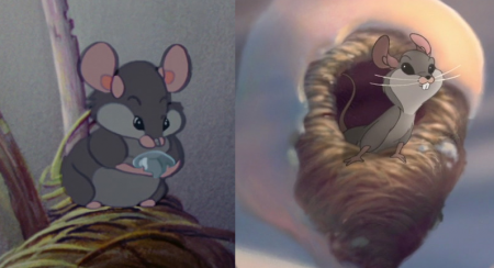 Detail The Mouse