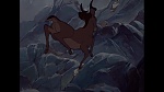 Bambi picture