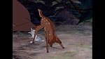 Bambi picture