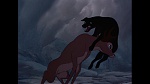 Bambi picture