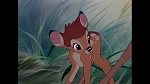 Bambi