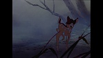 Bambi picture Bambi picture