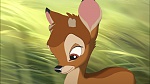 Bambi II  picture