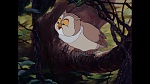 Bambi picture