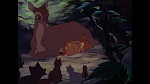 Bambi picture