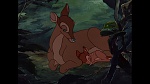 Bambi picture