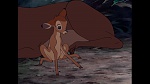 Bambi